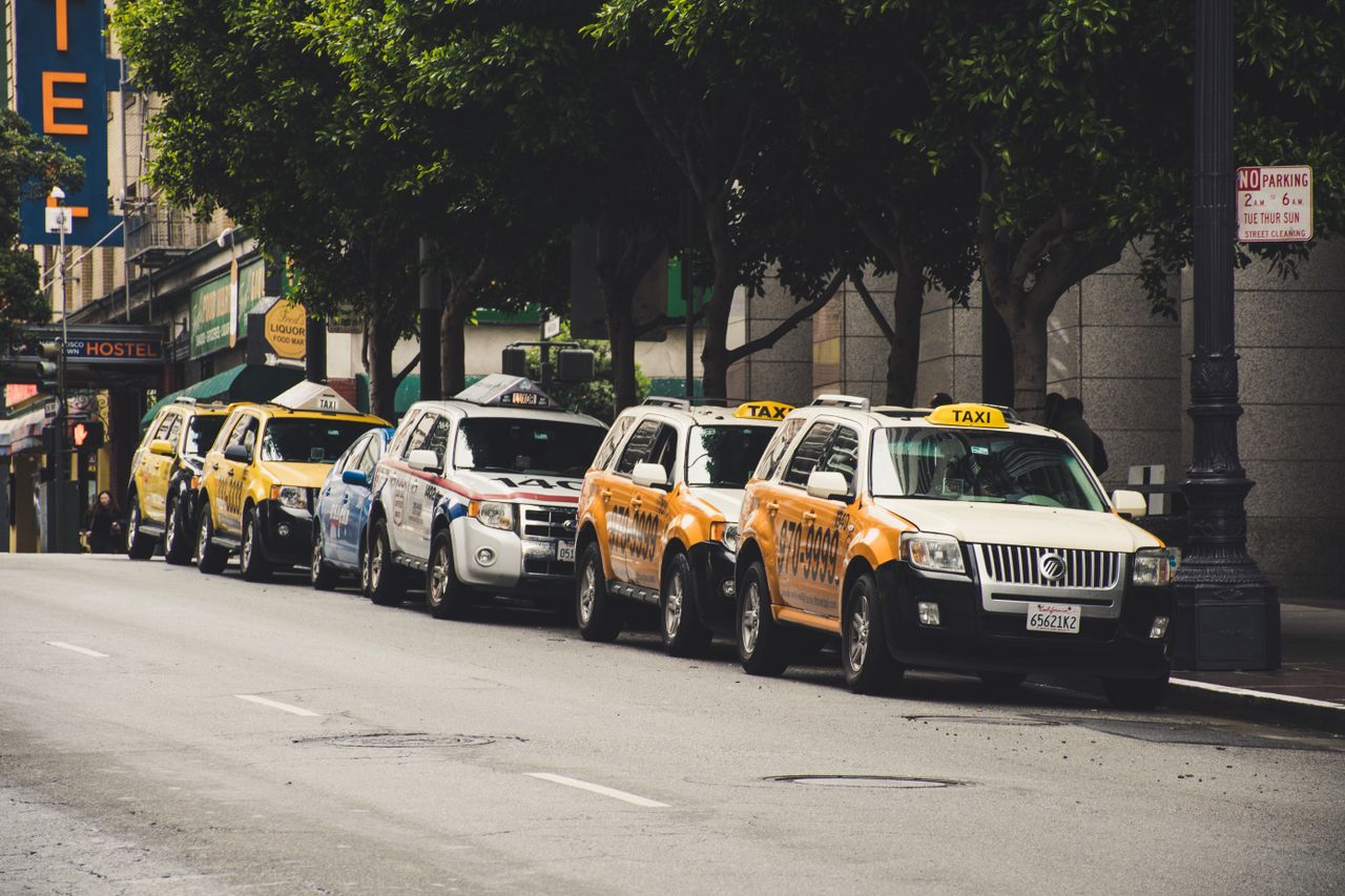 A row of taxis parked on a city street with trees and urban background.
